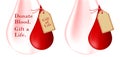 Donate Blood Concept. Blood drop with Ã¢â¬ÅGift of LifeÃ¢â¬Â tag.